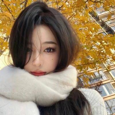 纳粹特攻队